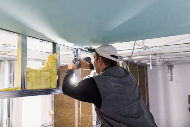 Reliable Prince George, VA Insulation Installation & Removal Solutions