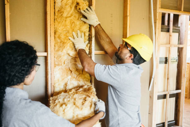 Best Blown-In Insulation  in Prince George, VA