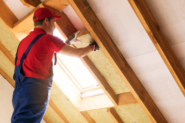 Best Batt and Roll Insulation  in Prince George, VA